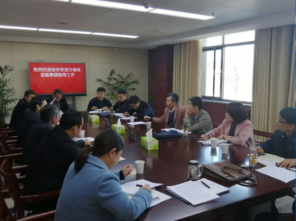 中國農(nóng)業(yè)發(fā)展銀行安徽省分行領(lǐng)導(dǎo)蒞臨集團指導(dǎo)工作
