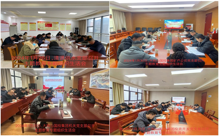 國(guó)投集團(tuán)召開主題教育專題組織生活會(huì)