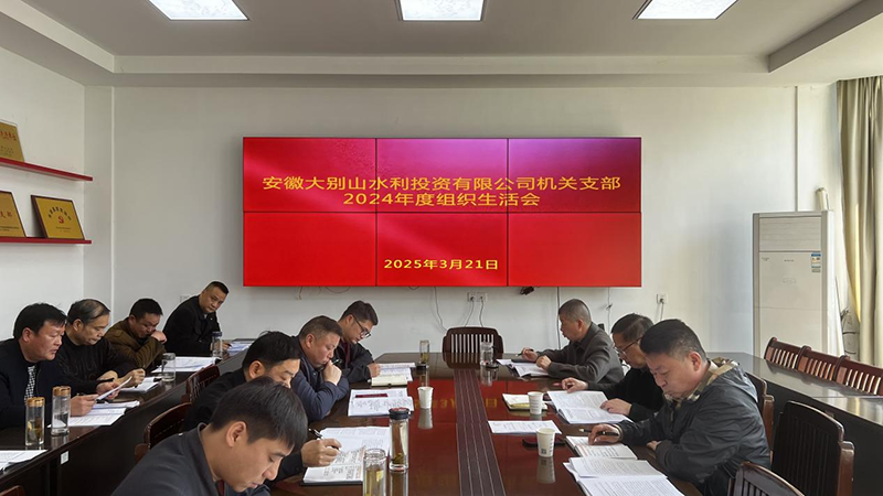 水投公司機關支部召開2024年度組織生活會