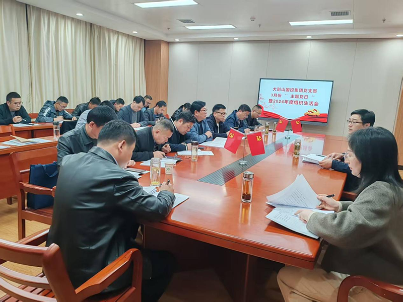 大別山國投集團(tuán)黨支部召開2024年度組織生活會
