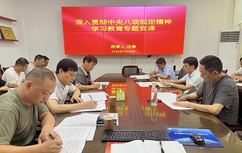 淠河水能公司黨支部開展專題黨課學(xué)習(xí)活動(dòng)
